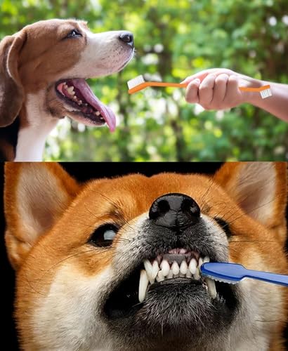 Image of YYaaloa 10pcs Double-Headed Toothbrush Dog Toothbrush Kit Set with Long Handle Soft Grooming for Cat Puppy Kitten Teeth Cleaning Dental Oral Cleaning (10 Colors, 10pcs)