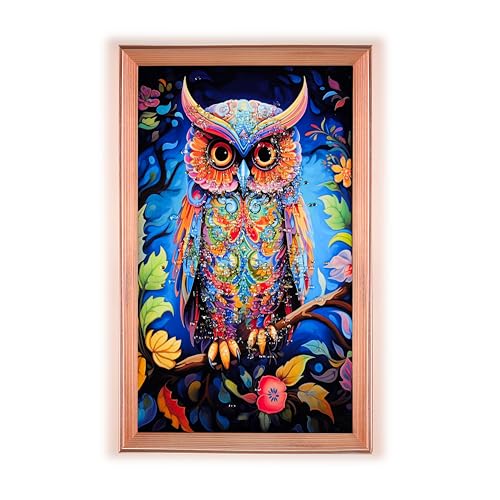 Image of Amazon Brand - Umi Framed Wall Painting, Colourful Owl with Crystal Diamonds For Wall Decoration Esthetic Wall Hanging Painting For Living Room Bedroom Housewarming Gift Office - 30x50cm