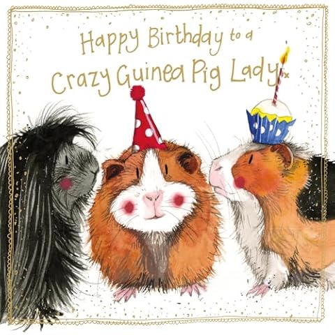 Alex Clark Crazy Guinea Pig Birthday Card Cover