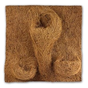 Reptiles-Planet REPU5 Terrarium-Rückwand 40x40 cm