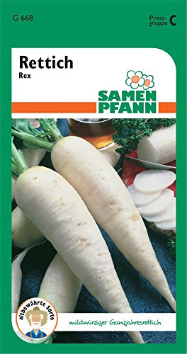 Samen Pfann G668 Rábano Rex (semillas de rábano)