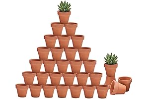Riseuvo Small Terra Cotta Pots: Essential Nursery Companion for Thriving Plants