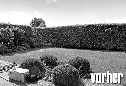 Vorher-nachher-Gärten - 5