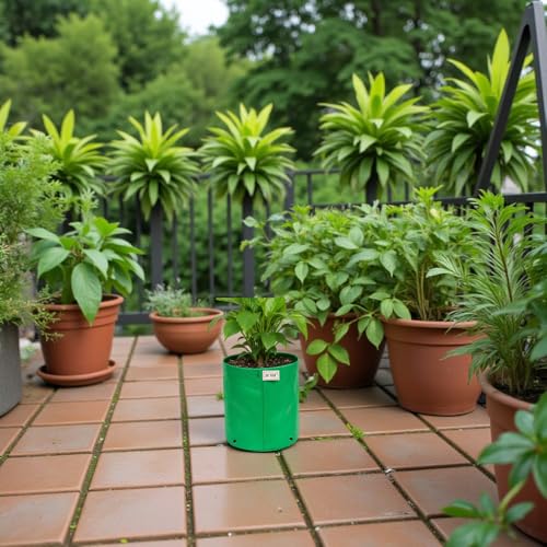 Image of HDPE Grow Bag 340 GSM UV Treated Plant Grow Bag 06x06 Inch - Pack of 10