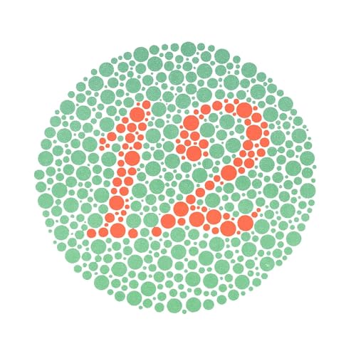 Generic Ishihara 38 Plate Color Deficiency Test Book - Image 4