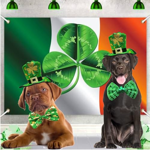 Disfraz St Patrick Día con Sombrero y Corbatas para Perro L miniatura 6