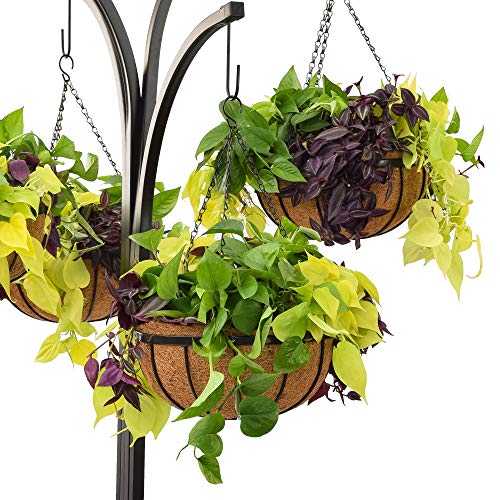 Arcadia Garden Products 1596 Coconut Basket Hanging Garden Tree, Black #TOP4