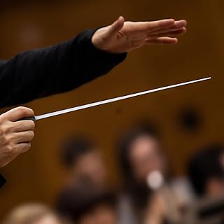 Bastão de Regência, Bastão de Maestro Profissional, Bastão de Maestro Com Cabo de Resina, Bastão Musical para Concertos de Orquestra Coral, Bastão Leve para Diretor de Coro (preto)