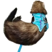 Ferret Harness and Leash Set Small Animals Vest Harness with Safe bell Dinosaur Shaped Walking clothes for Baby Rabbit Guinea pig Teacup Chihuahua Mouse and other small pet.Blue Dinosaur