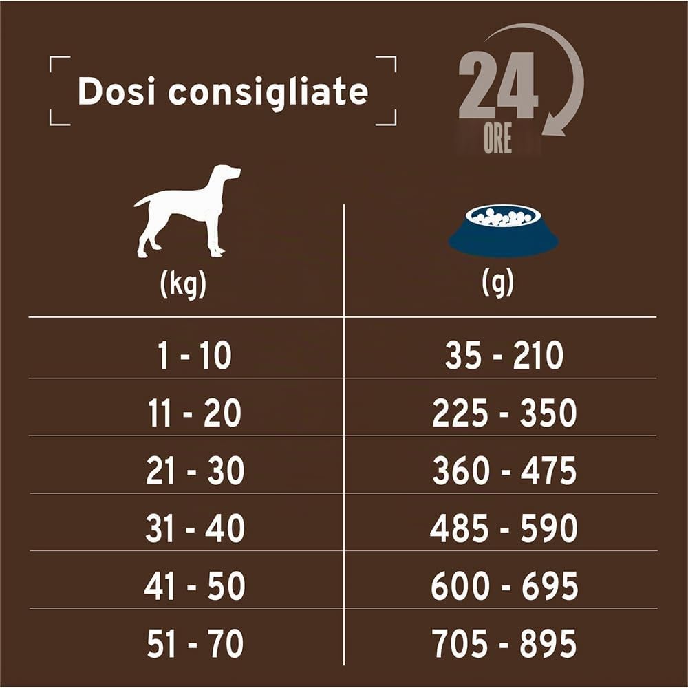 FORZA10 Dog Active Intestinal Colon FASE 1 | Agnello e Sorgo | Alimento Dietetico per Sensibilità Intestinale | Cibo Secco per Cani | Sacco da 10 Kg