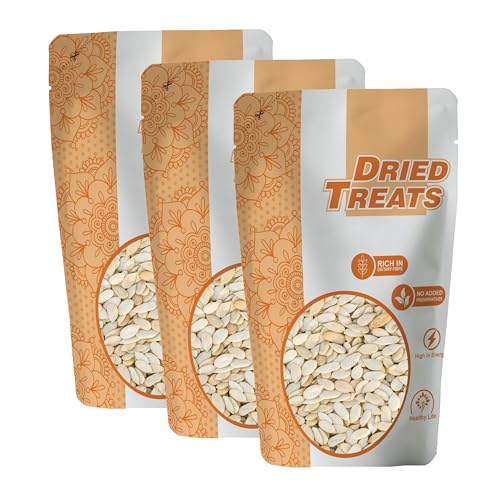 Image of Dried Treats Dried Fruits Nuts And Seeds (Muskmelon Seeds /Kharbooj, 750 grams (3X250G))