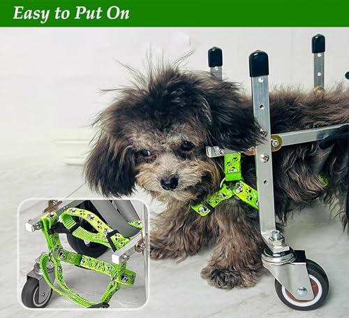 Silla de ruedas para perros con soporte completo ajustable para recuperar su movilidad 8