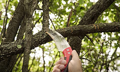 Ez Kut Kamikaze Max Saw Curved Blade With Scabbard - 19.3 Inch Heavy Duty Pruning Saw - Carbon Hardened Steel Japanese Technology- Best Pruning Saw For Tree Trimming & Branches - Made In Spain #TOP4