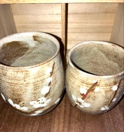 Kasama-yaki Yunomi Pair by Tayama Seiichi