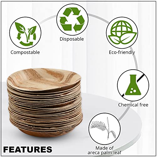 Ben & Jane Premium Disposable Areca Leaf Plates - Decorative Compostable Tableware For Lunch, Dinner, Birthday, Camping, Outdoor, Bbq, Picnic, Parties (9 Inch, Round Plate) #TOP3