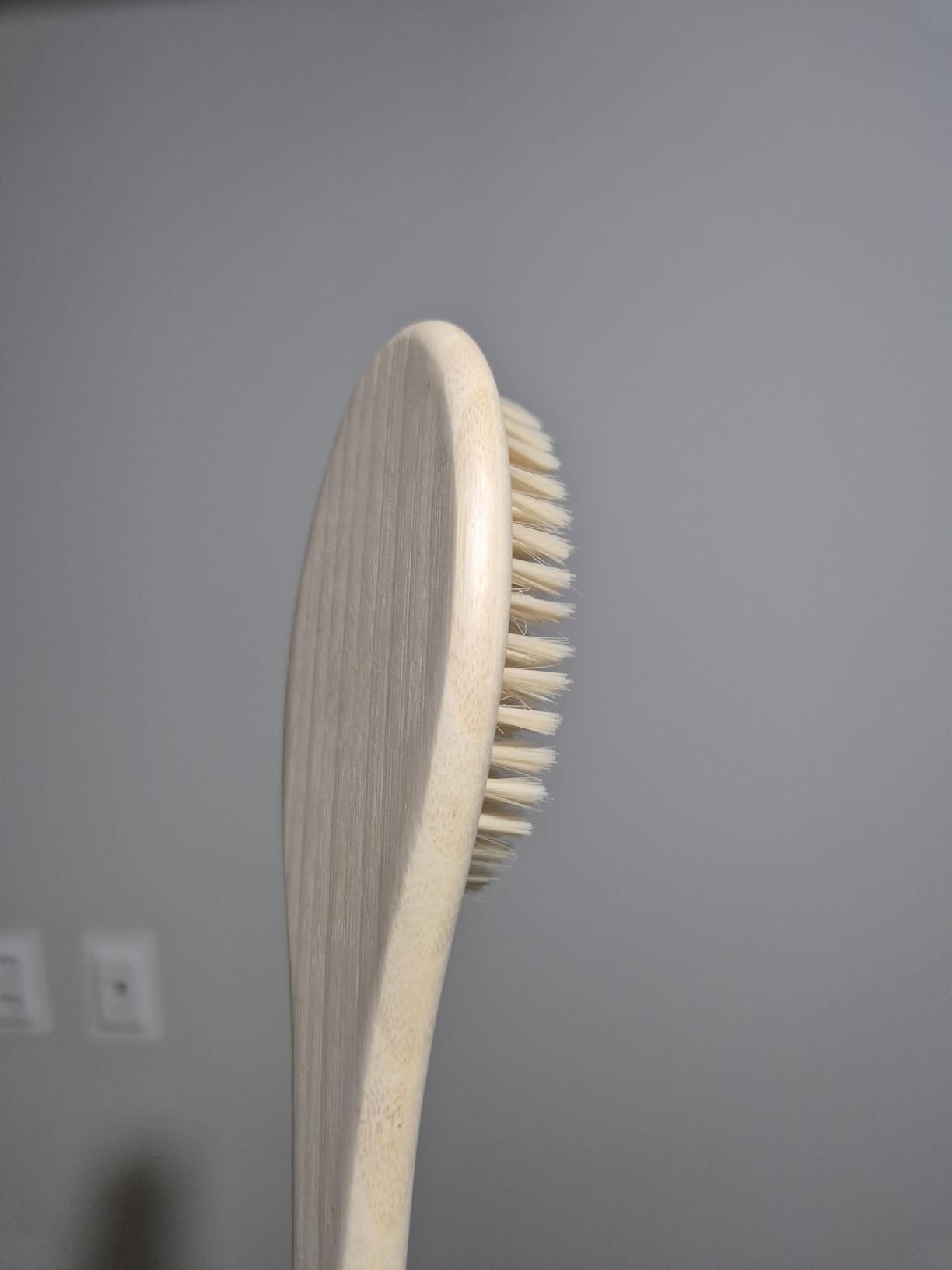 EcoTools Bath Bristle Brush, Bath Brush with Long Handle, Cleanse Back & Hard-to-Reach Areas, Eco Friendly Shower Brush for Exfoliating, Cruelty Free Nylon Bristles, Vegan, 1 Count