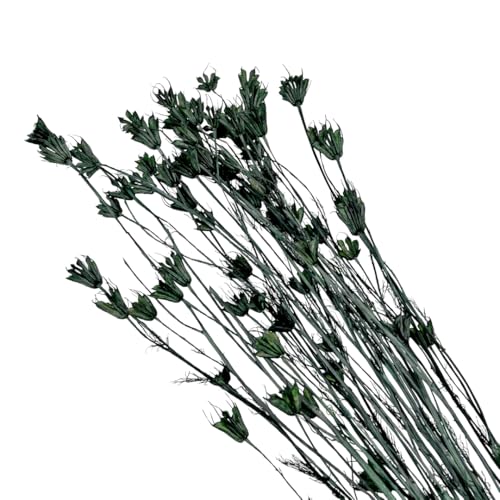 Bundle de 4 Flores Octágono Secas Verde Oscuro miniatura 5