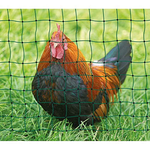 AKO Red de aves de corral PoultryNet verde, sin electricidad, 112 cm, doble punta – 50 m – Ideal también para animales pequeños como barrera óptica – Malla pequeña en la parte inferior – pollos,
