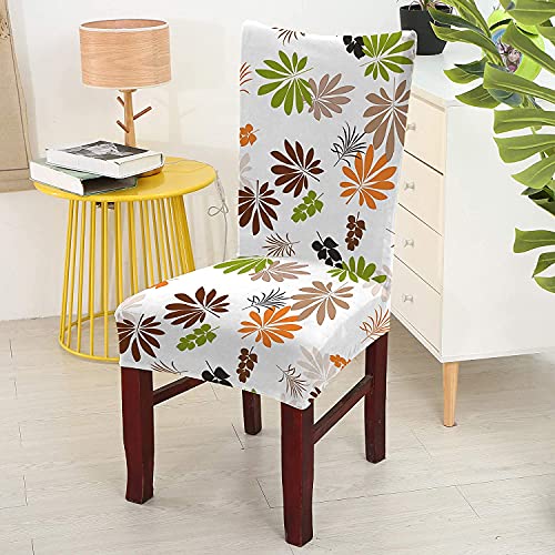 BRIDA® Stretchable Floral Printed Dining Chair Covers Elastic Chair Seat Case Protector, Slipcovers (1 Chair Cover, White, Orange Green)