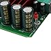 Nobsound 100W TPA3116D2 Amplifier Full Frequency Mono Channel Digital Power Amp Board NE5532 OPAMP 8-25V (Mono, Board)