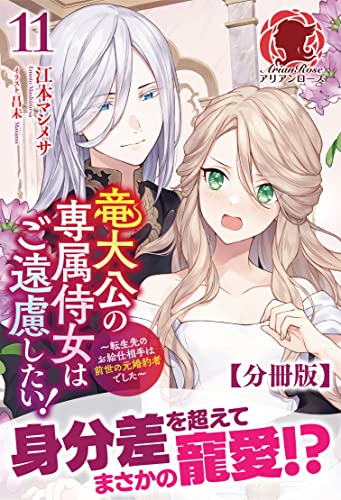 【分冊版】竜大公の専属侍女はご遠慮したい! ~転生先のお給仕相手は前世の元婚約者でした~ 11話(アリアンローズ)