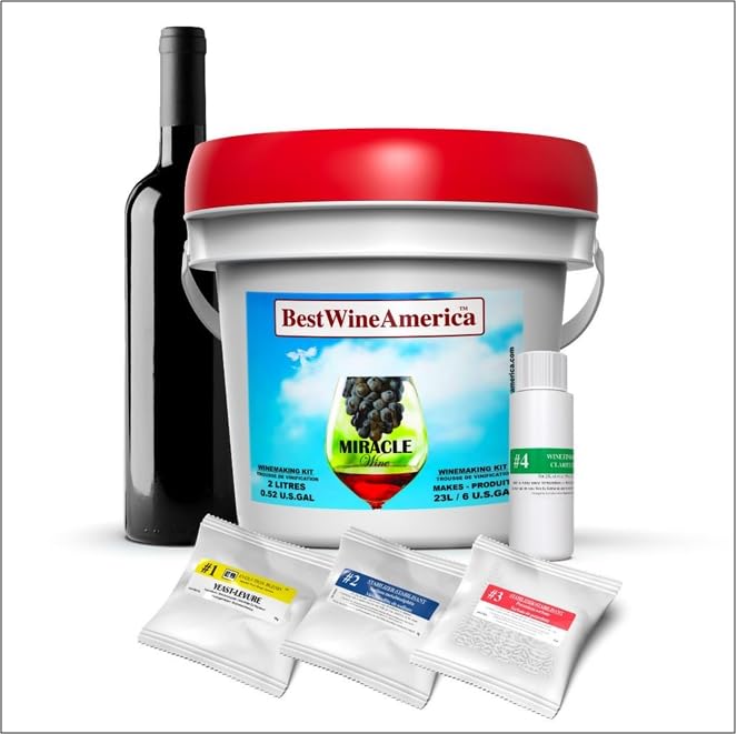 BestwineAmerica Miracle Grape Extraction – White Style Wine – 0.5 U.S. gal Kit Makes 6 U.S. gal of Wine - (30 X 750ML) Red style Cabernet Sauvignon