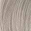 T18 Lightest Ash Blonde