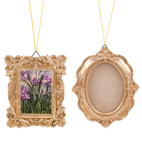 SOFPLATE 1 boîte de 2 styles de Cadres Photo en Résine Dorée Mini Cadres Photo Vintage en Vrac Cadre de Présentation de Bijoux Ovale Rectangulaire Baroque...