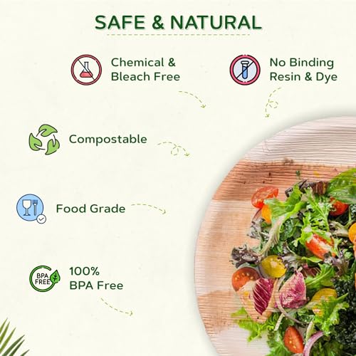 ECO Leaf 25 Disposable Palm Leaf Plates, Medium 7”(18cm) - Image 3