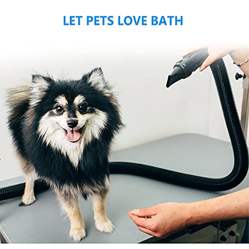 NEWTRY-Dog-Dryer-Hair-Force-Dryer-Stepless-Adjustable-Speed-Temperature-High-Velocity-Dog-Cat-Hair-Dryer-Professional-Pet-Grooming-Blower-2000W32HP-Reduce-Noise-Heat-Insulation-Blue