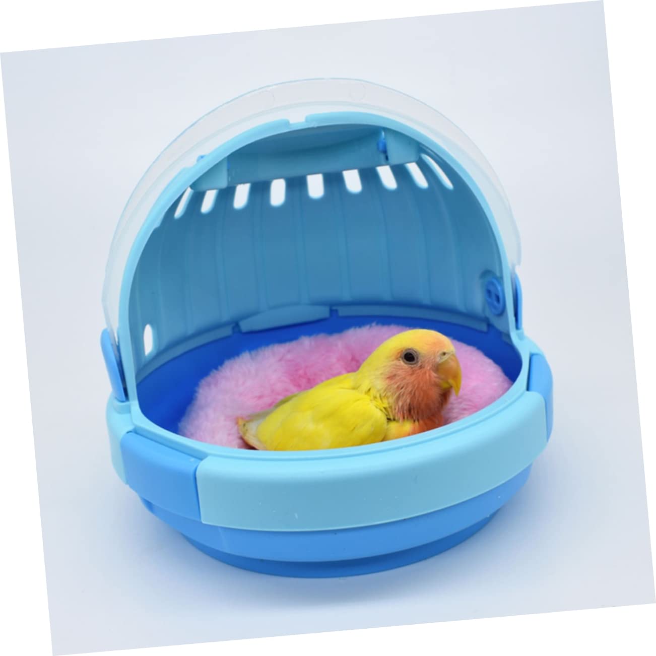 Il Servizio Pet Cargo - Viaggi Sicuri E Confortevoli Per I Tuoi Animali