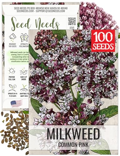 Image of Seed Needs Pink Common Milkweed Seeds for Monarch Butterflies 1 Pack
