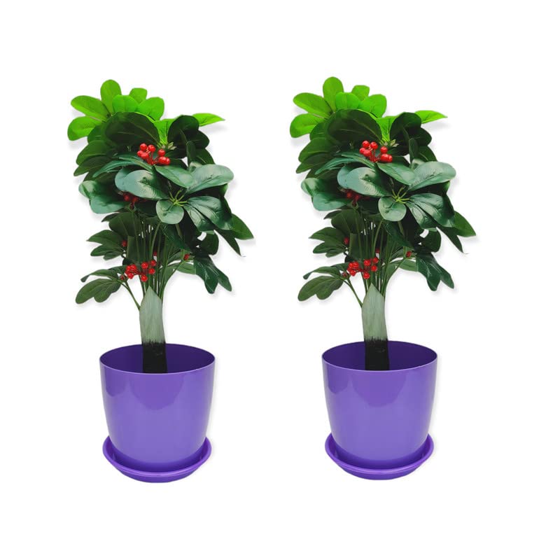 ZEONELY MART 8 inch Pots for Plants with Supporting Plate (Tray/Saucer), Purple Color, Pack of Each 2 nos (B0B5DYJSVP) Amazon Price History, Amazon Price Tracker