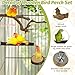 Kathson 11PCS Natural Bird Perches Wooden Parrot Perch Stand Birds Stand Platform Parakeets Grape Stick Paw Grinding Fork Cockatiel Exercise Branches Chewing Accessories for Cockatiels, Conure, Budgie