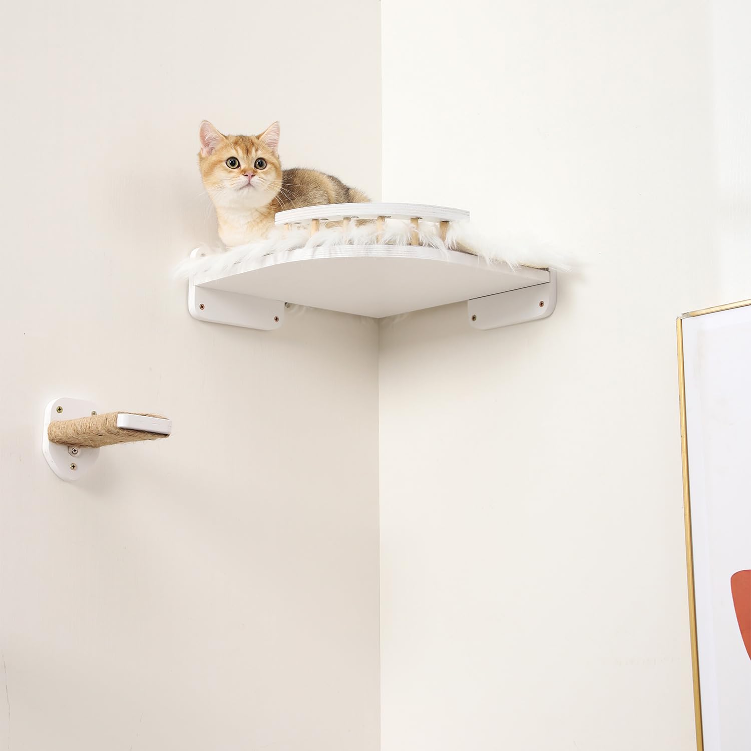 Katzen-Wandregale, 3 Stufen, Kratzbaum & Hängemattenbett, Eck-Katzenmöbel mit Plüschbezogenem Kletterregal für Indoor-Katzen (Weiß)