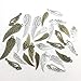 iloveDIYbeads Wings Charm Collection-about 55pcs Craft Supplies wing Charms Pendants by pair for Crafting, Jewelry Findings Making Accessory For DIY Necklace Bracelet Earrings (M083)