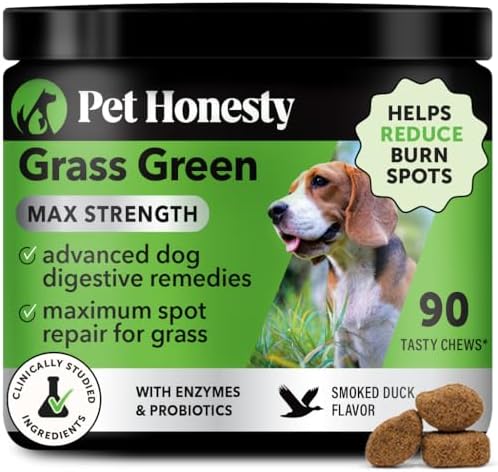 Grass Green Max Strength Chews for Dogs – Premium Dog Urine Lawn ...