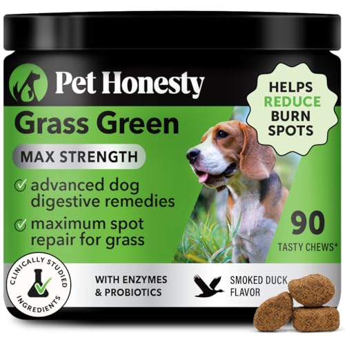 Grass Green Max Strength Burn Spot Chews for Dogs - Premium Formula - Dog Pee Lawn Spot Saver Supplement Caused by Dog Urine, Supports Healthy Digestion w/Probiotics + DL-Methionine - 90ct