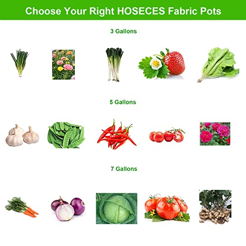 Sac de culture pour plantes résistant en tissu non tissé 27L avec drainage optimal - 6