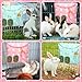 UPINS 2 Pack Hay Bag for Rabbits 2-Hole Hanging Hay Feeder Guinea Pig Hay Bags, Hay Feeder for Rabbits Chinchillas Hamsters Small Pets and Animals