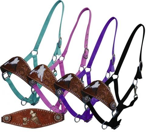 Showman Bronc Style Horse Halter w Floral Tooled Medium Oil Leather Noseband & Genuine Cowhide Cut Out Barrel Racer (Black)
