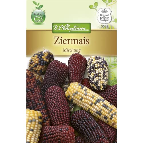 Chrestensen Ziermais 'Mischung'