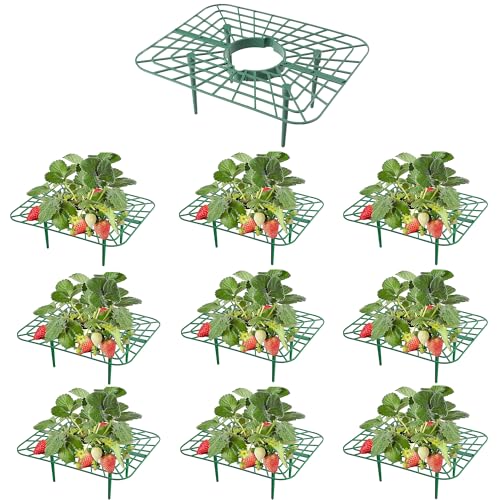 10-Packs Strawberry Plant Support Reusable Strawberry Garden Trellis & Plant Holder-Keeps Berries Off the Ground for Pots & Backyard Raised Bed Gardens Home Gardeners