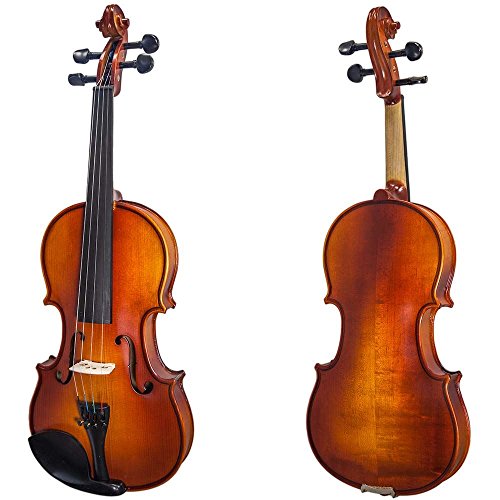 Paititi 4/4 Full Size Solid Wood Ebony Fitted Violin with Bow Lightweight Case