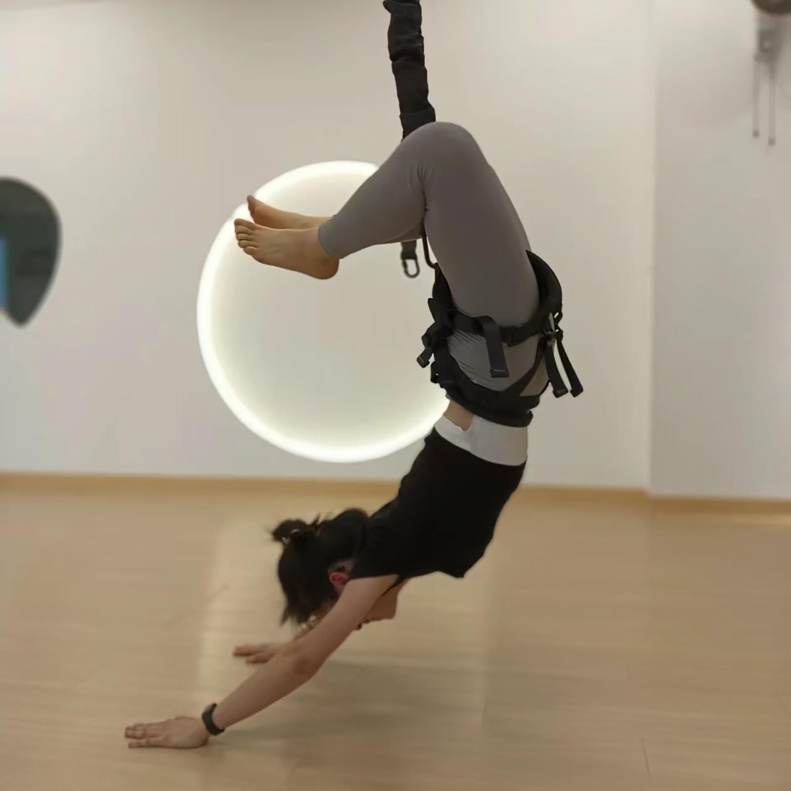 Bungee Dance Resistance Belt Rope – Corda pesante da appendere professionale per danza aerea Home Suspension Training Kit