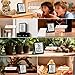 Antonki 2 Pack Room Thermometer Small Hygrometer Indoor Humidity Monitor Sensor, Digital Temperature and Humidity Meter Gauge for Home, Baby Nursery, Reptile, Greenhouse - Battery Included
