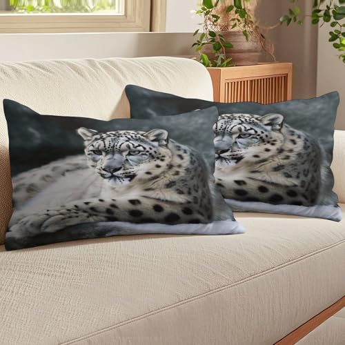 Funda de almohada rectangular de felpa de lujo resistente a la decoloración de 12x20 7