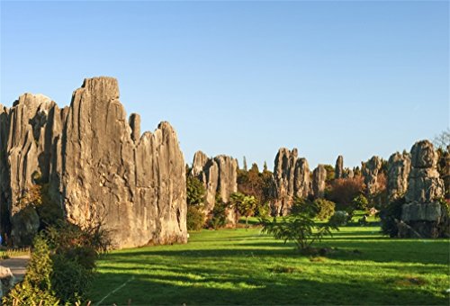 YongFoto 1,5x1m Vinile Sfondo Fotografico