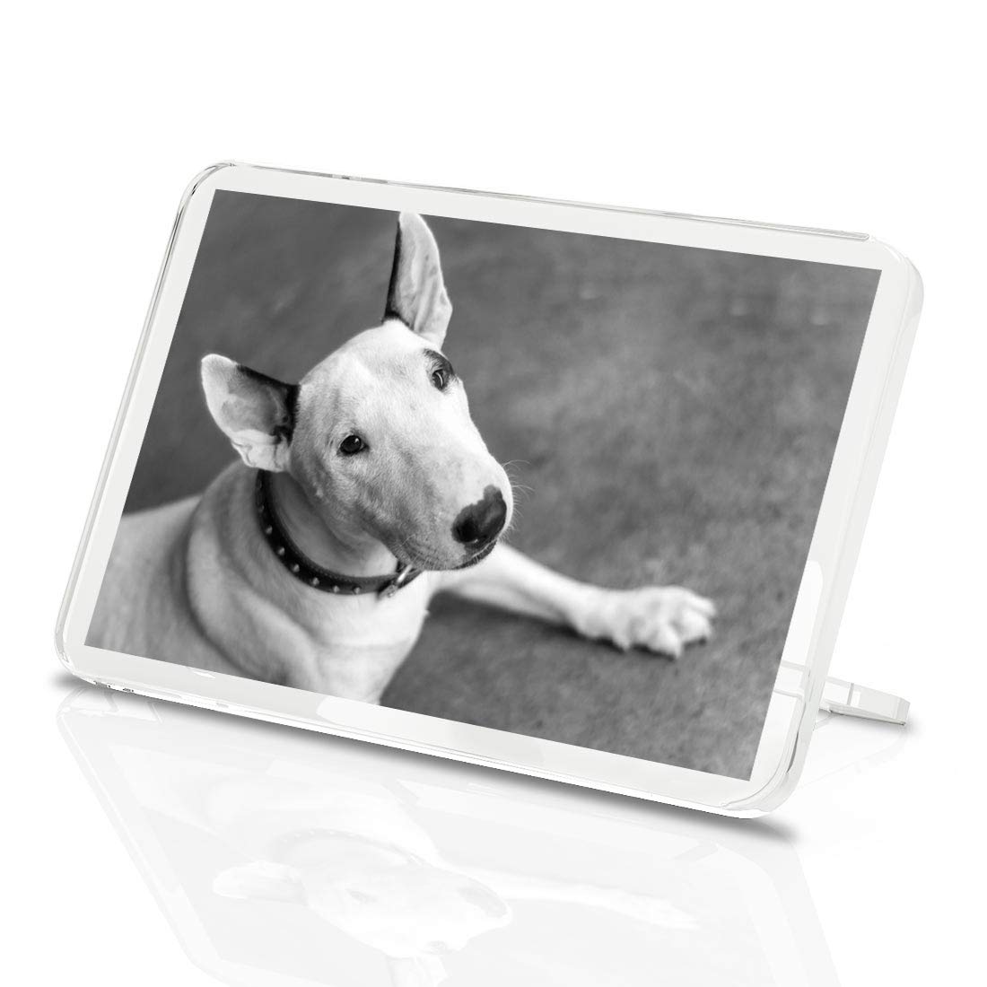 Destination Vinyl Ltd Multicolor 1 X Fridge Magnet - English Bull Terrier Dog #39062