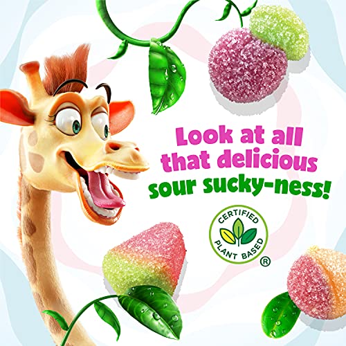 REALFRUIT Sours Summerfruit Burst Candy 350 gramos miniatura 7